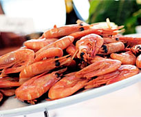 Shrimp cruise in Stockholm