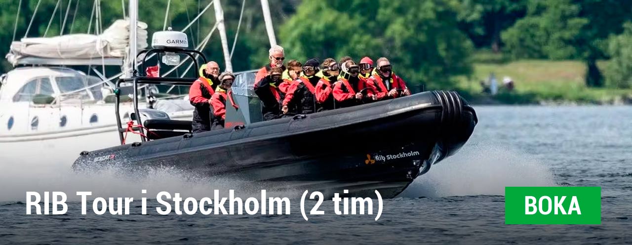 En fartfylld RIB tur i Stockholm och Stockholms skärgård under 2 timmar
