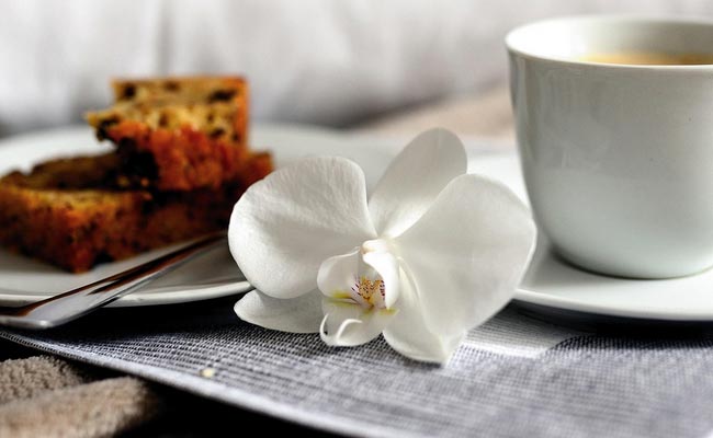 Book Fika Tour to hideaway cafés in Stockholm.