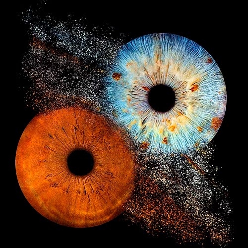 Boka in dig på en fotografering av ditt öga hos Iris Galerie på Västerlånggatan i Stockholm