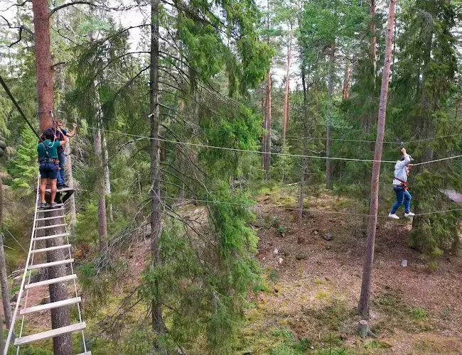 Testa höghöjdsbana och zipline i Stockholm