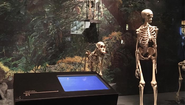 Museum i Stockholm